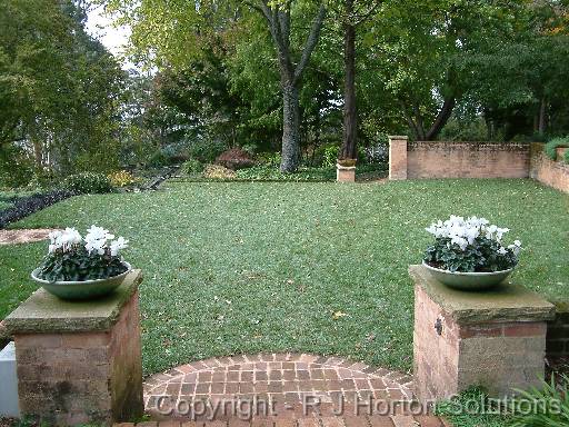 Steps  Cyclamen 